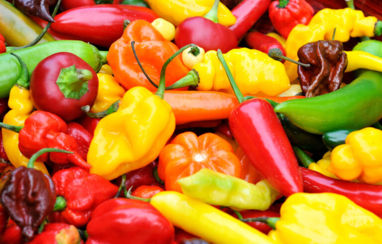 Are Ringer Peppers Really great For Men’s Well-Being?