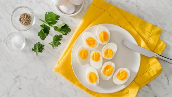 Eggs: Their importance and benefits
