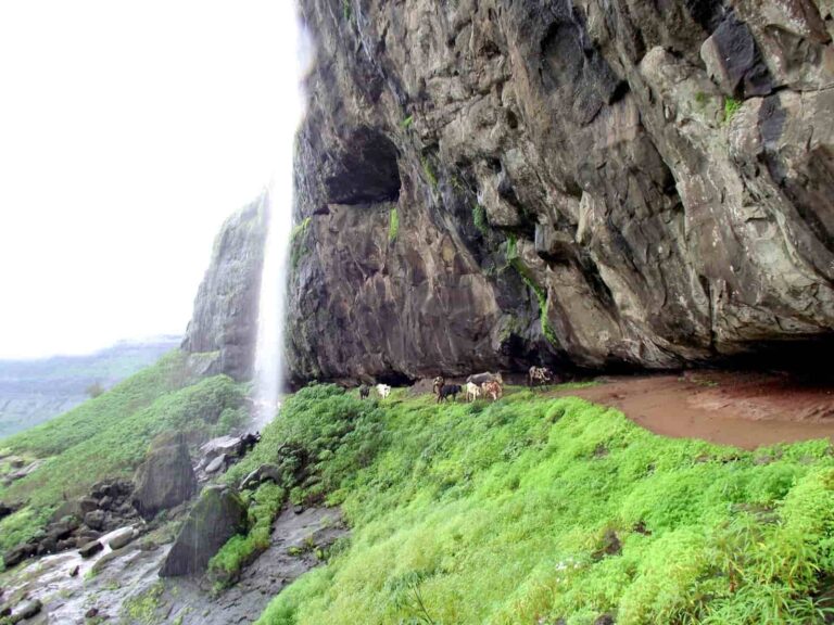 Harishchandragad trek: All you need to know about the trek