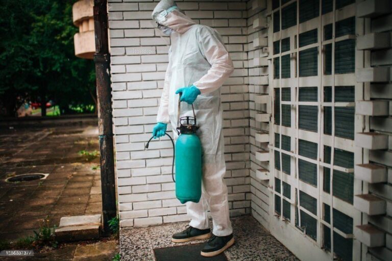 Sameday Pest Control Doncaster – Keep your home clean and pest free!