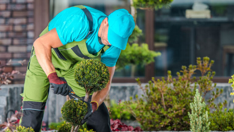 What are the Most Popular Services that Landscapers in Toronto Offer?