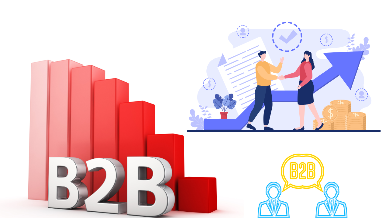 How To Guide: B2B PORTAL Essentials For Beginners
