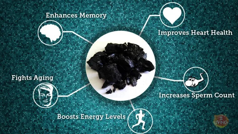  What actually is Shilajit? Learn Everything.