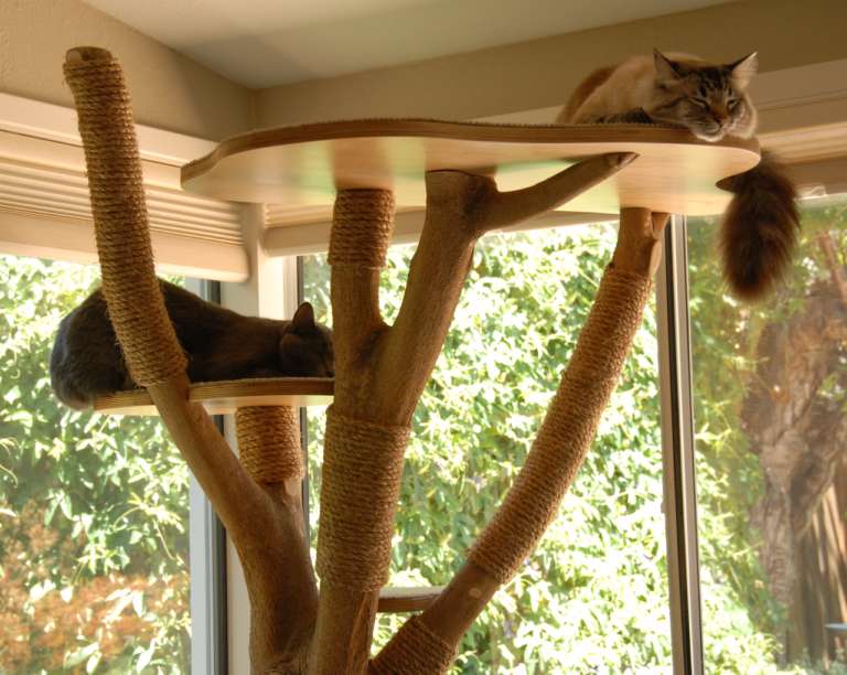 The Benefits of Owning a Cat Tree for Your Feline Friend